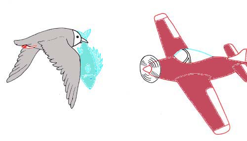 Lintu ja lentokone